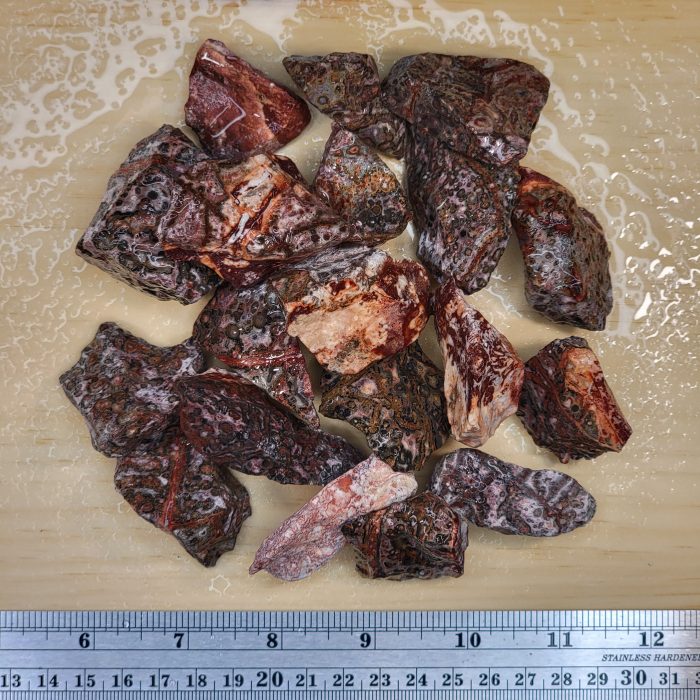Leopard Skin Jasper Rough - Image 2
